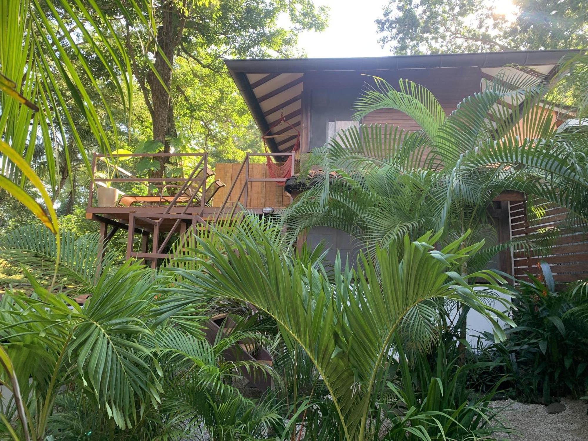 The Beach Bungalows Tamarindo- Adults Only Værelse billede